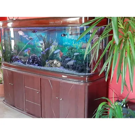 Family Favourite Hotel Obzor