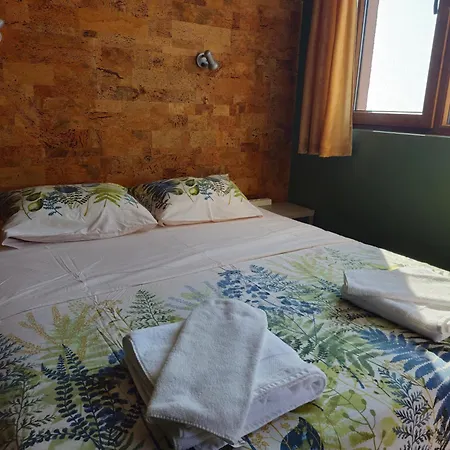 Family Favourite 2* Obzor